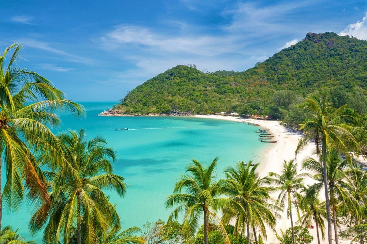 Tropical beach cove with turquoise water, white sand, palm trees, and forested hills under blue sky in Phuket Krabi