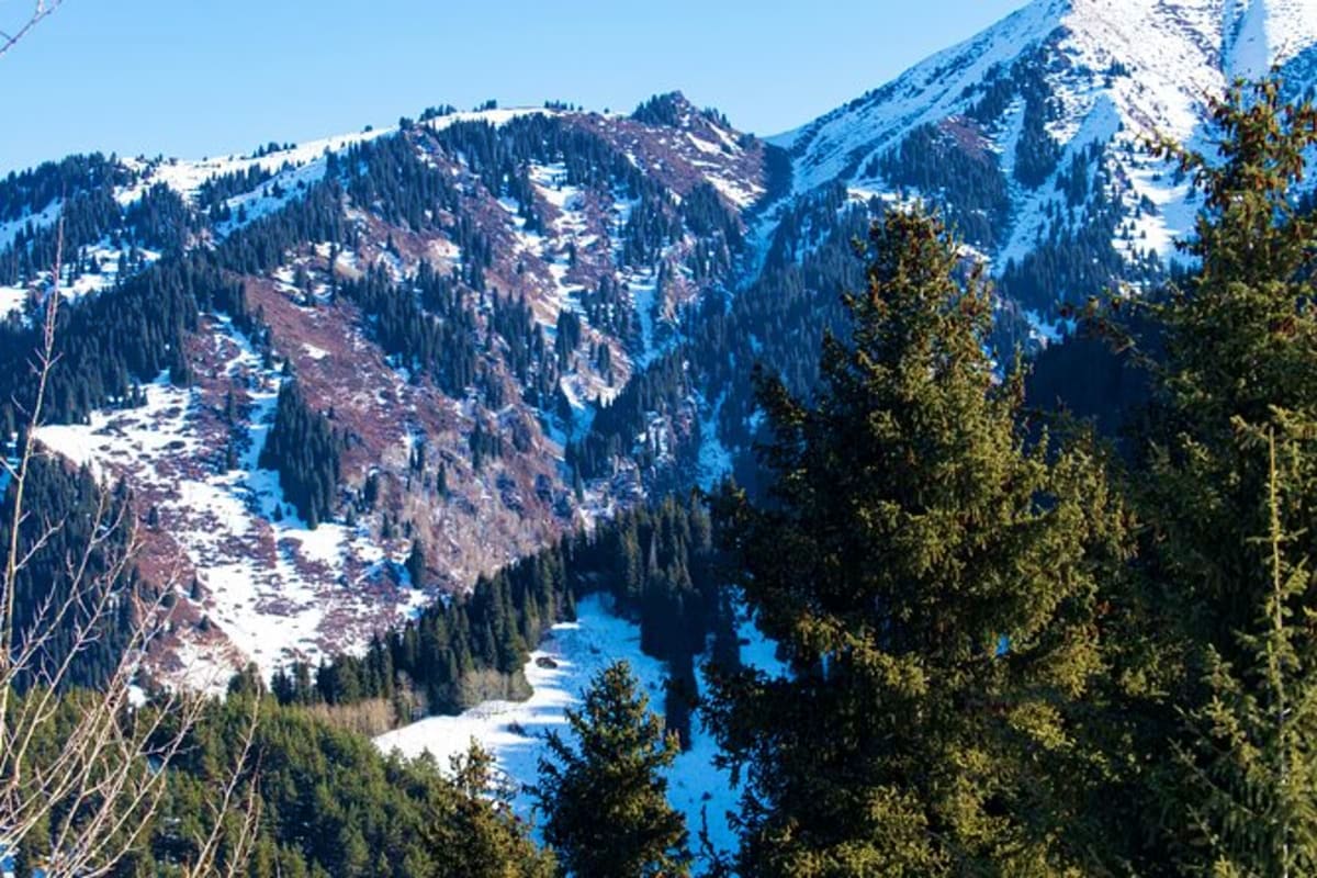 Snow-covered mountain valley with winding blue river and dense coniferous forest in Kazakhstan