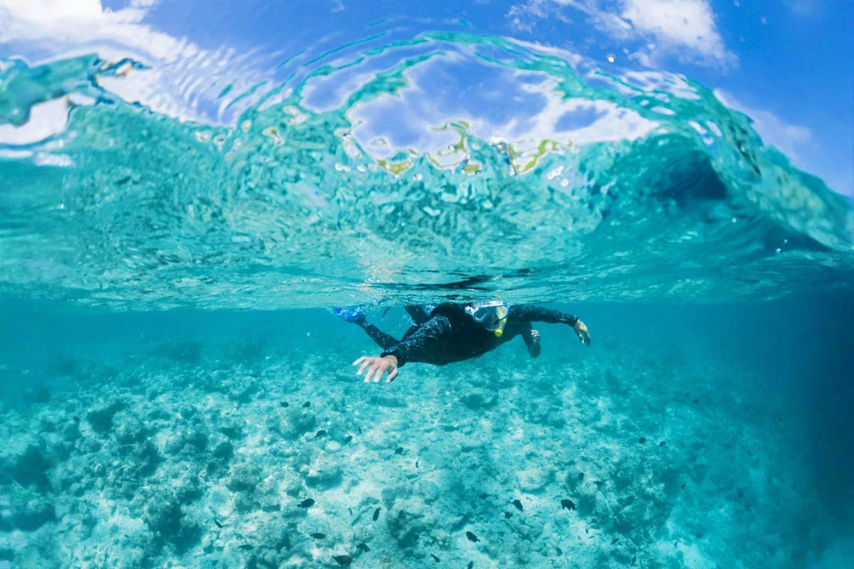 Snorkeler swimming underwater in clear turquoise ocean water with sandy bottom and surface water ripples visible above