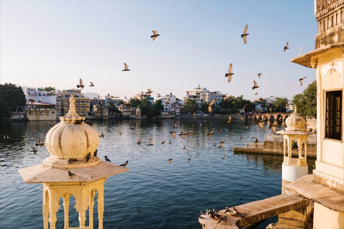 Birds flying over Lake Pichola with ornate white domed structures and colonial architecture in Udaipur, Rajasthan