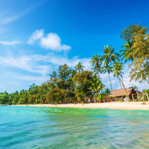 Tropical beach with turquoise water, white sand, palm trees, and wooden beachfront bungalows under clear blue sky