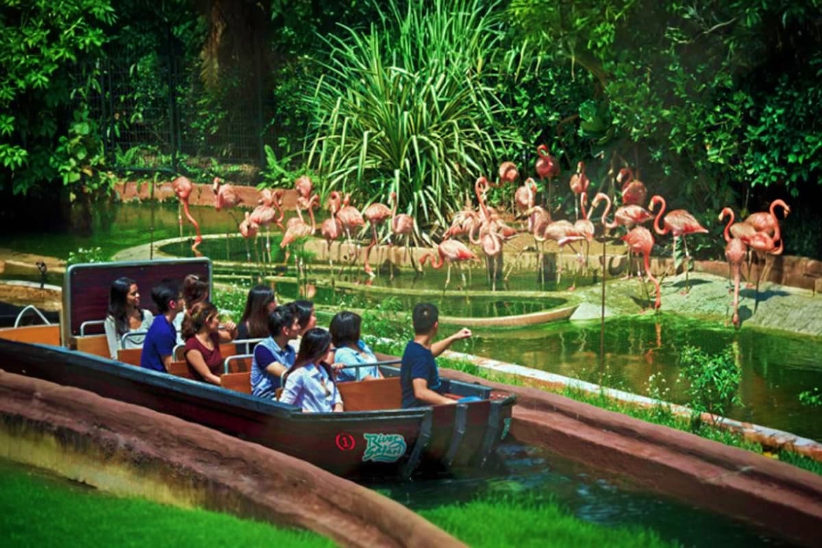Boat ride through flamingo exhibit with tourists viewing pink flamingos in lush tropical garden setting