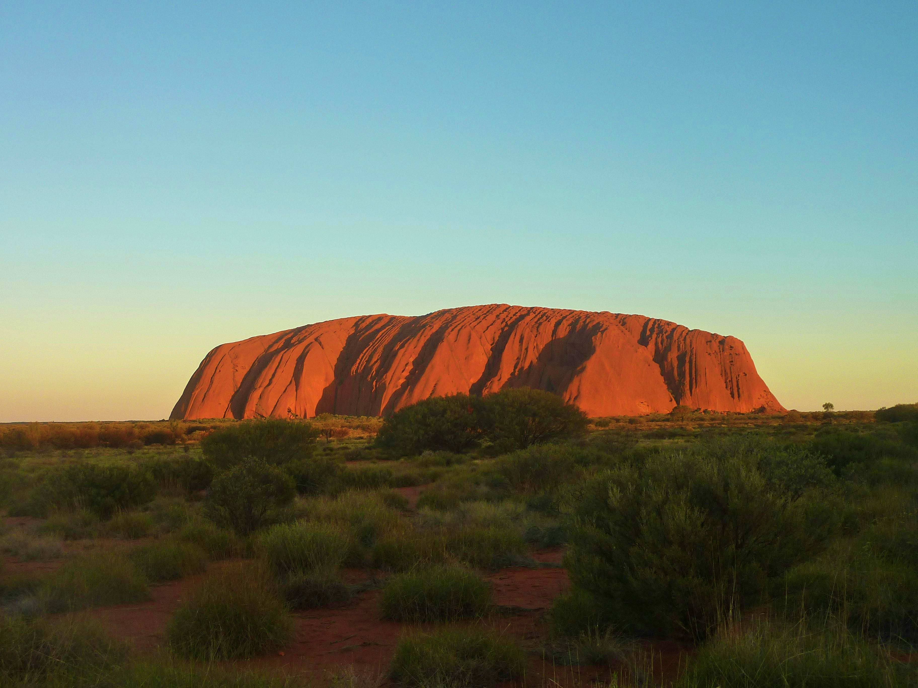 Australia Uluru (Ayers Rock) glowing red at sunset in the Australian outback with sparse desert vegetation in foreground