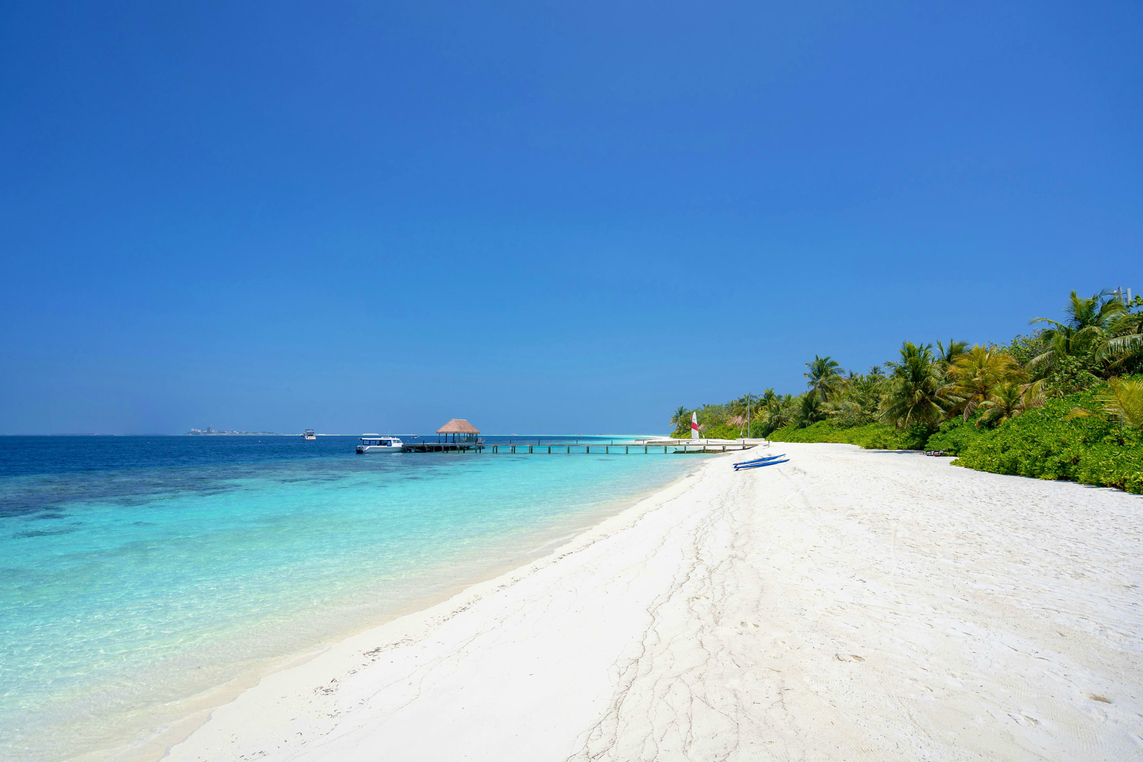 Maldives Pristine white sand beach in the Maldives with turquoise water, wooden pier, palm trees, and clear blue sky