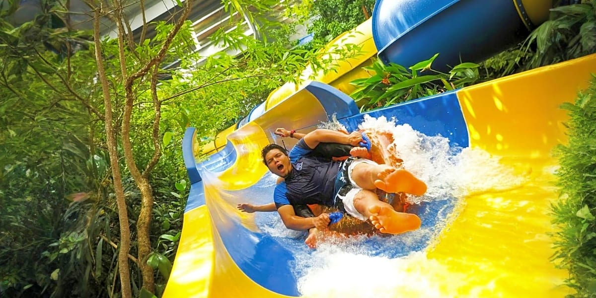 Man sliding down yellow and blue water slide at theme park with tropical foliage surrounding the ride