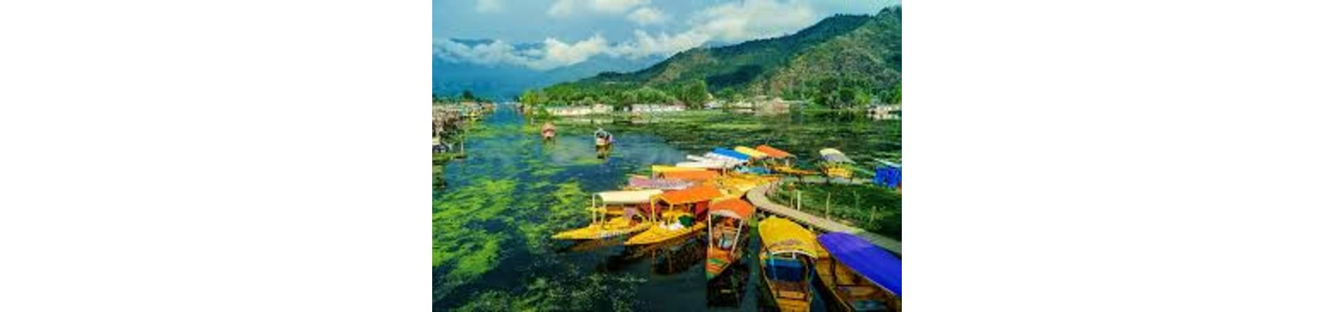 Colorful wooden boats moored in Dal Lake with mountains and green water in Srinagar, Kashmir