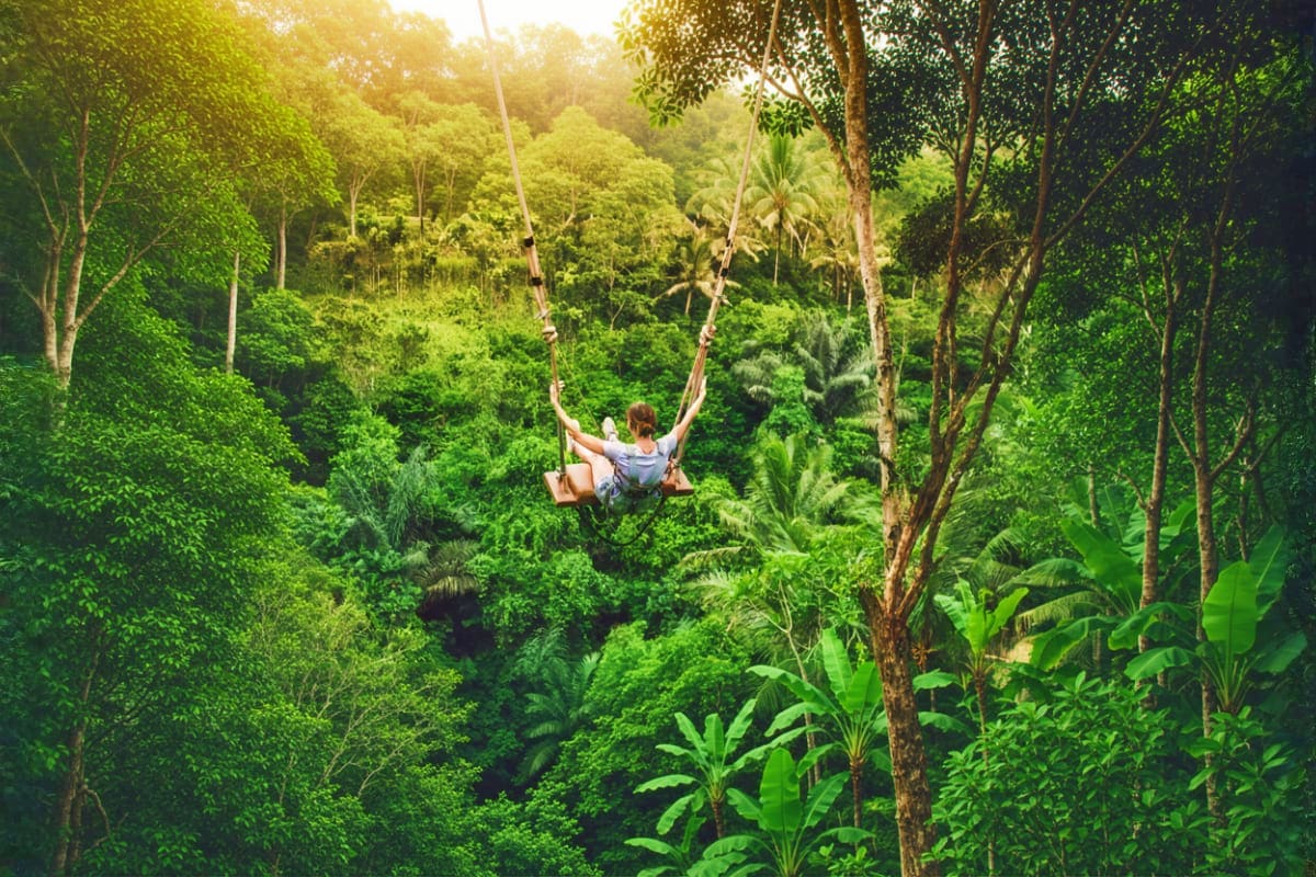 Person on jungle swing suspended above dense tropical forest canopy in Bali