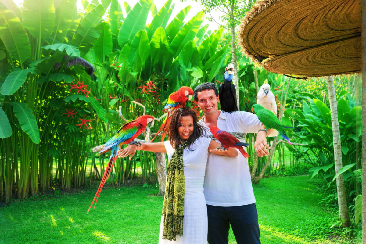 Couple holding colorful macaws and eagles at Bali Bird Park tropical garden with palm trees and thatched roof structure