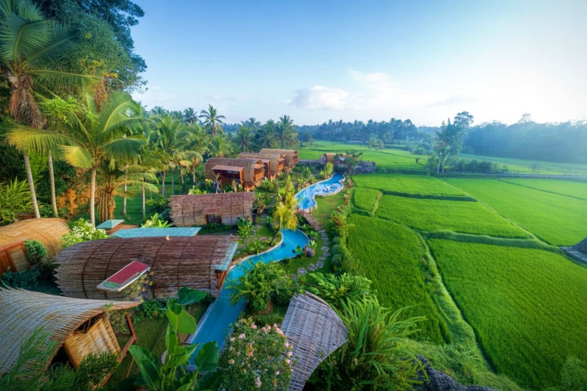 Aerial view of Bee Cafe Ubud with blue meandering pool, wooden pavilions, and surrounding lush green rice fields in Bali