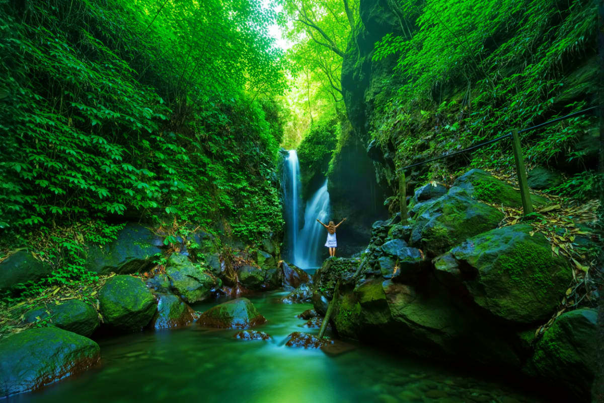 Bali Private Full Day Temple And Waterfall Tour Woman standing under waterfall in lush green jungle canyon with moss-covered rocks and flowing stream in Bali