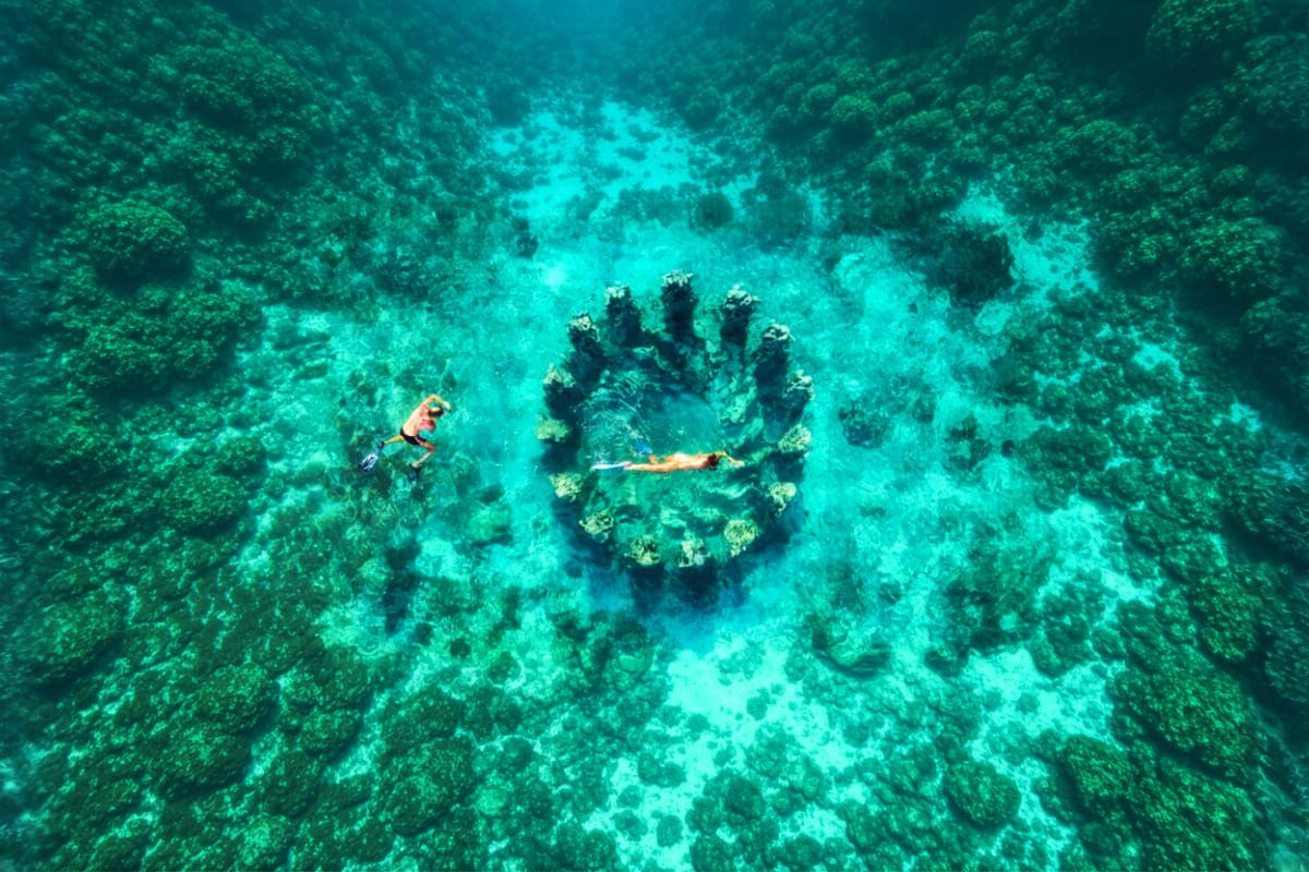 Gili Trawangan and Gili Meno with Gili Air Private Snorkeling Day Tour from Lombok Aerial view of snorkeler swimming above coral reef formation in turquoise ocean waters off Gili Islands