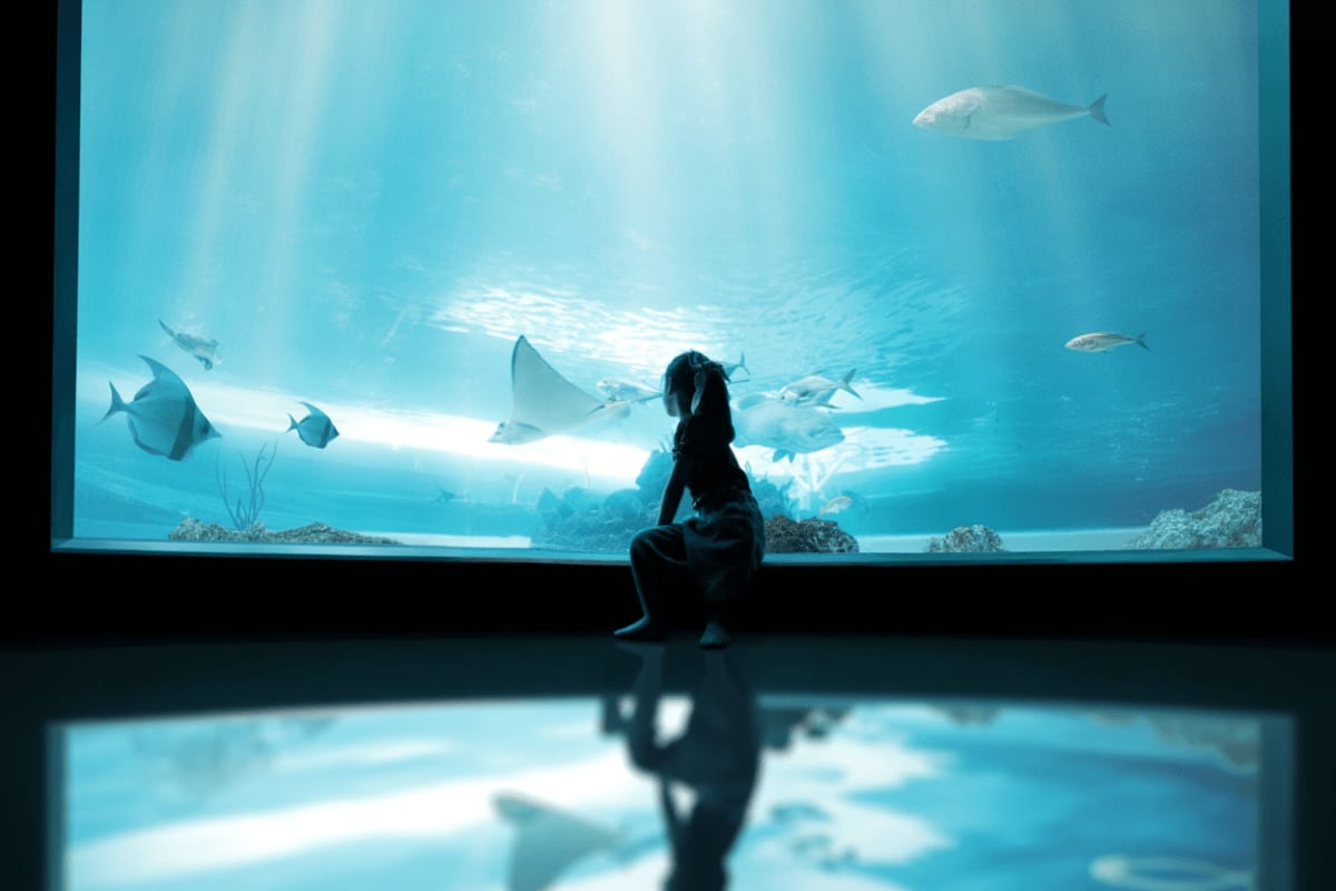Cebu Ocean Park Child sitting in front of large aquarium tank viewing manta rays, tropical fish, and underwater ocean life at Cebu Ocean Park
