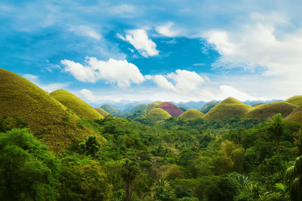 Chocolate Hills landscape in Bohol with distinctive dome-shaped hills covered in green vegetation and tropical forest under b
