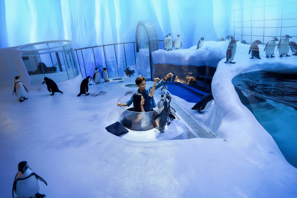 Manila Ocean Park Zookeeper feeding penguins in an indoor Arctic-themed habitat with snow, ice pools, and multiple penguins at Manila Ocean Par