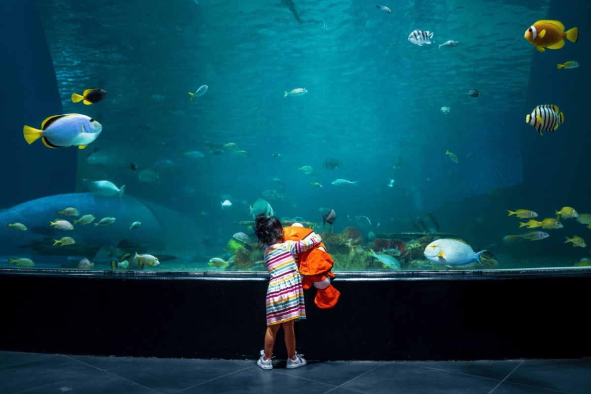 Manila Ocean Park Child in colorful dress watching tropical fish and coral reef through large aquarium glass at Manila Ocean Park