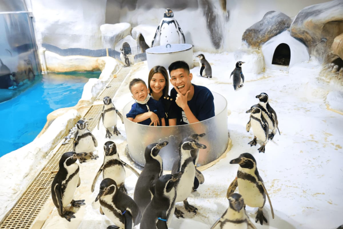 Manila Ocean Park Family in white viewing dome surrounded by African penguins at Manila Ocean Park penguin exhibit