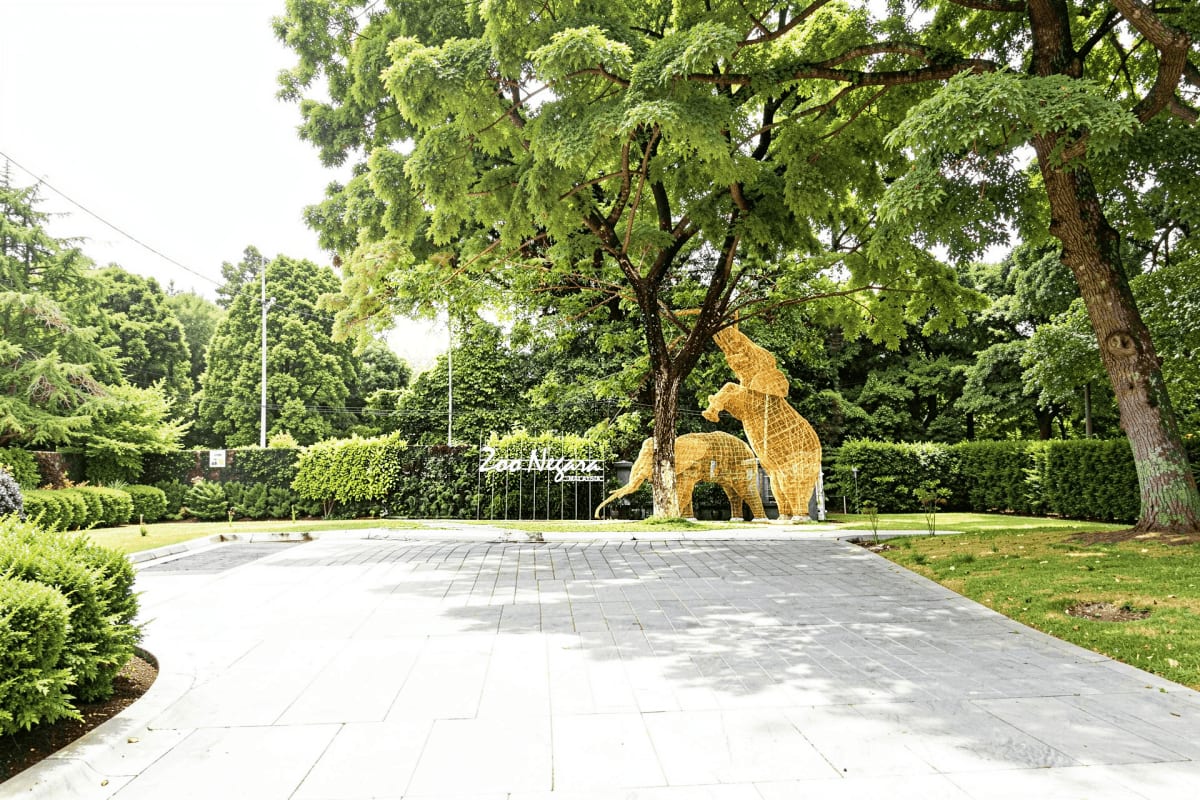 Zoo Negara Kuala Lumpur Large golden bear sculpture at Zoo Negara Kuala Lumpur entrance with paved plaza and lush green trees