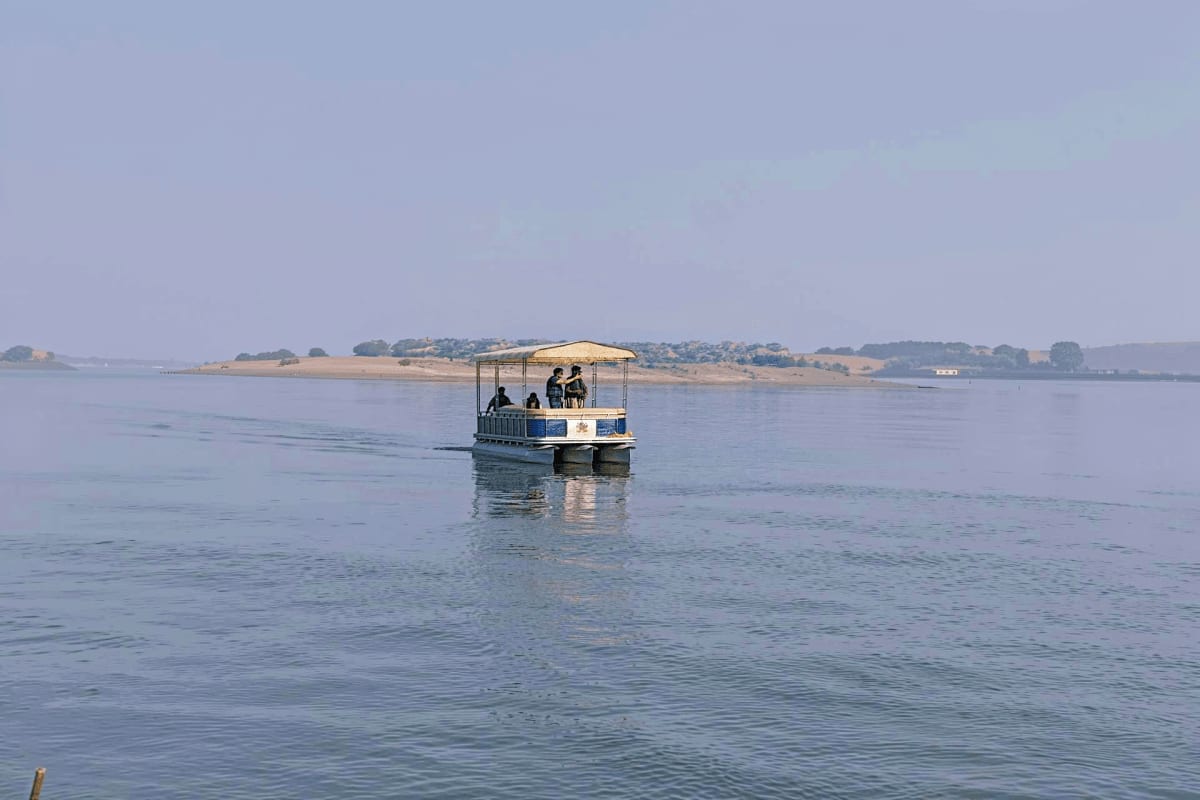 Small blue and white boat with canopy carrying tourists on calm water during Chambal River safari with sandy banks and trees