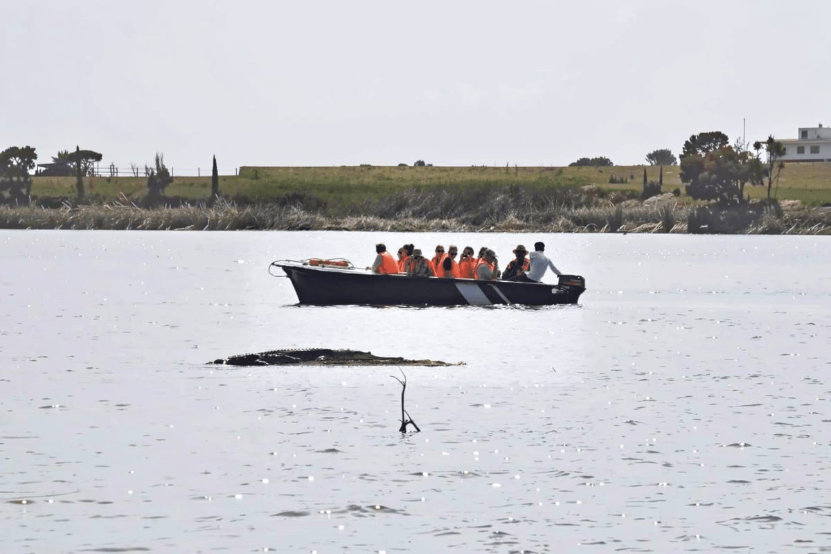 Black boat with passengers wearing orange life jackets on the Chambal River with rural landscape and trees in background