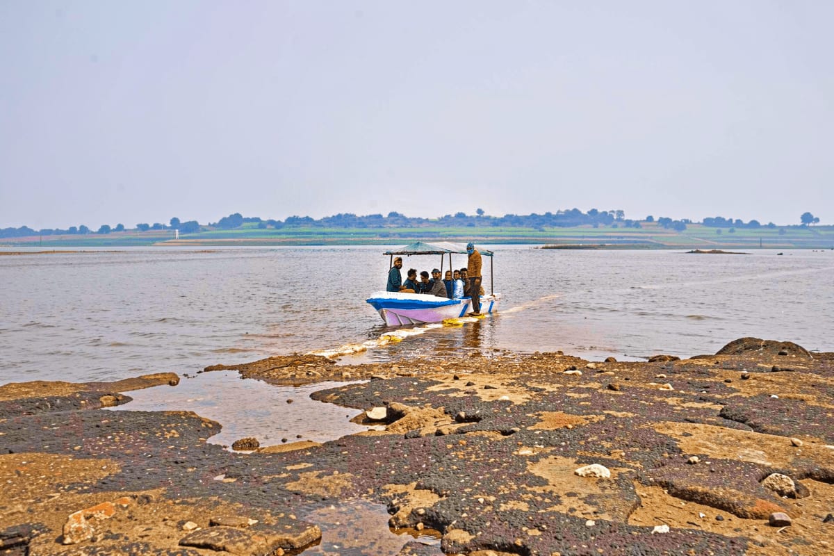 Chambal Boat Safari Blue and white boat with passengers and canopy on Chambal River, rocky shoreline in foreground, tree-lined banks in backgroun