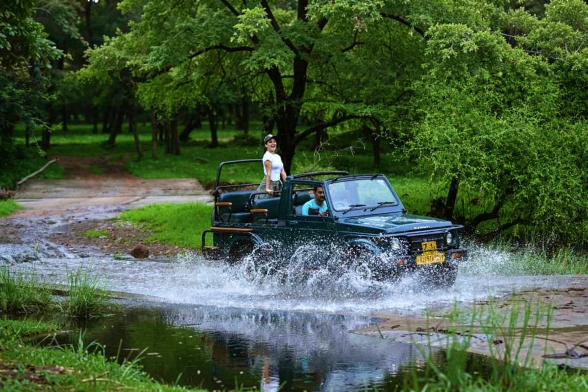 Exclusive Jeep Safari with Expert Tracker Ranthambore Black open-top jeep splashing through shallow water stream in lush green forest with two passengers during off-road safari to