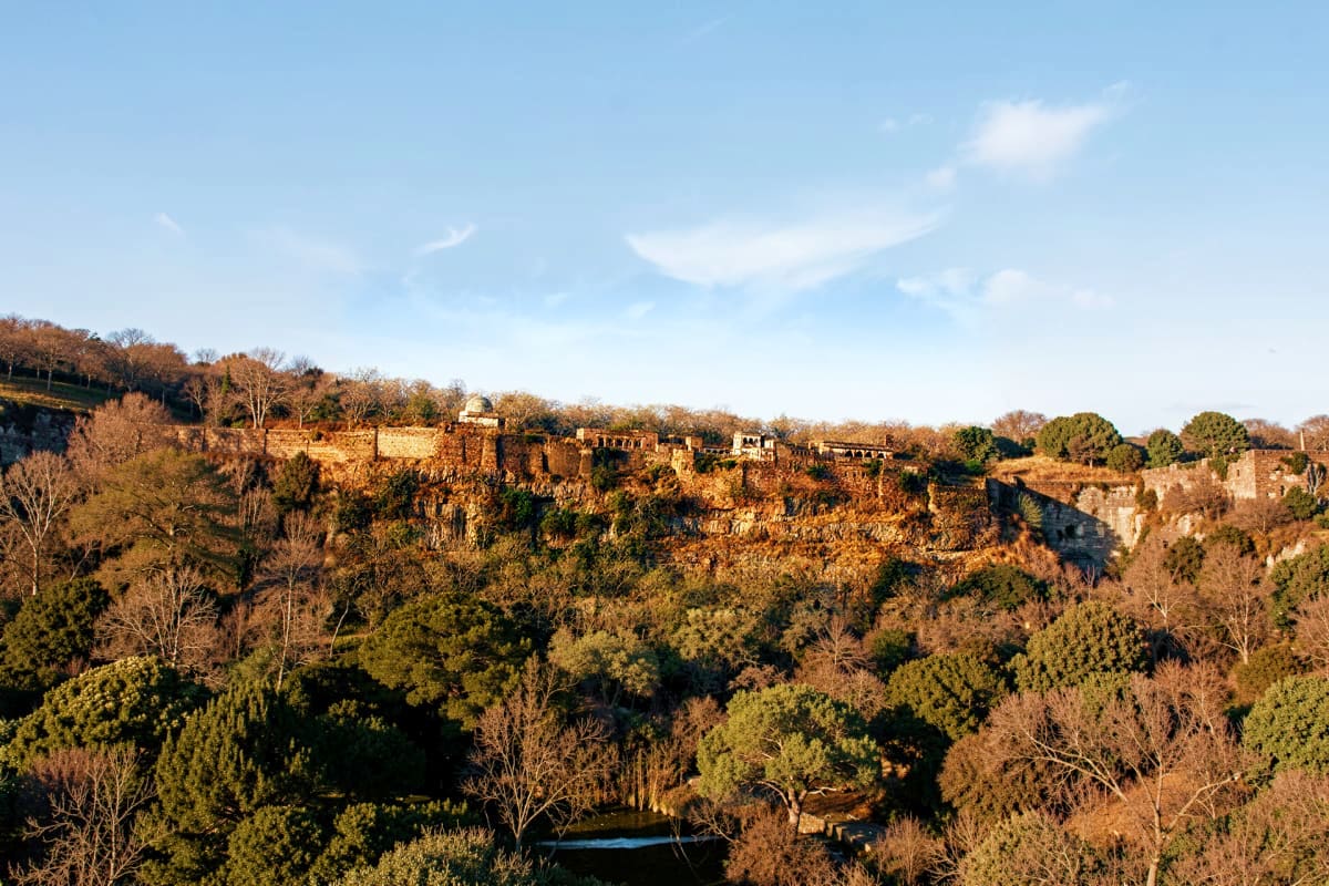 Ranthambore Near By Village Visit Ancient hilltop fort with sandstone walls and towers surrounded by dense green forest and scattered trees under clear blue sk