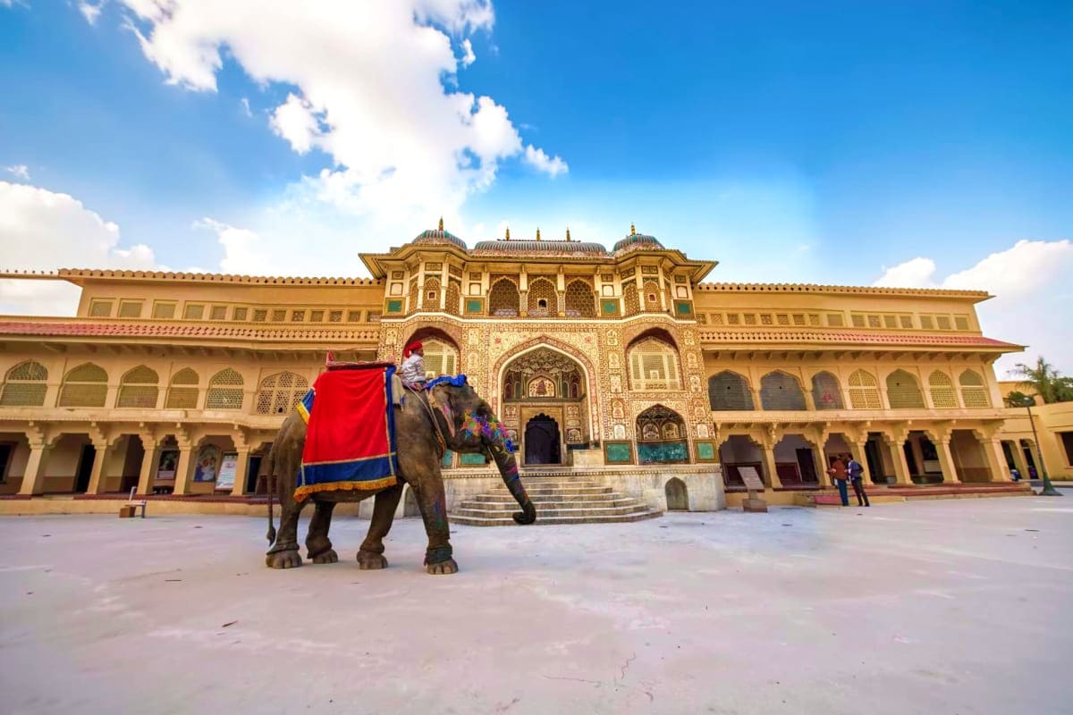 Ranthambore Near By Village Visit Decorated elephant standing in courtyard of ornate golden palace with intricate architectural details and blue sky
