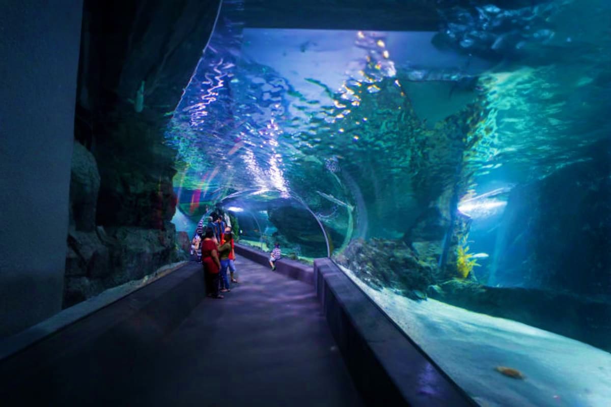 Visitors walking through underwater tunnel at Sea Life Bangkok Ocean World with fish and marine life swimming overhead in blu