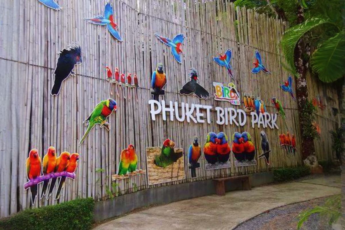 Phuket Bird Park Phuket Bird Park entrance wall with colorful mural artwork featuring macaws, parrots, and tropical birds in flight and perche