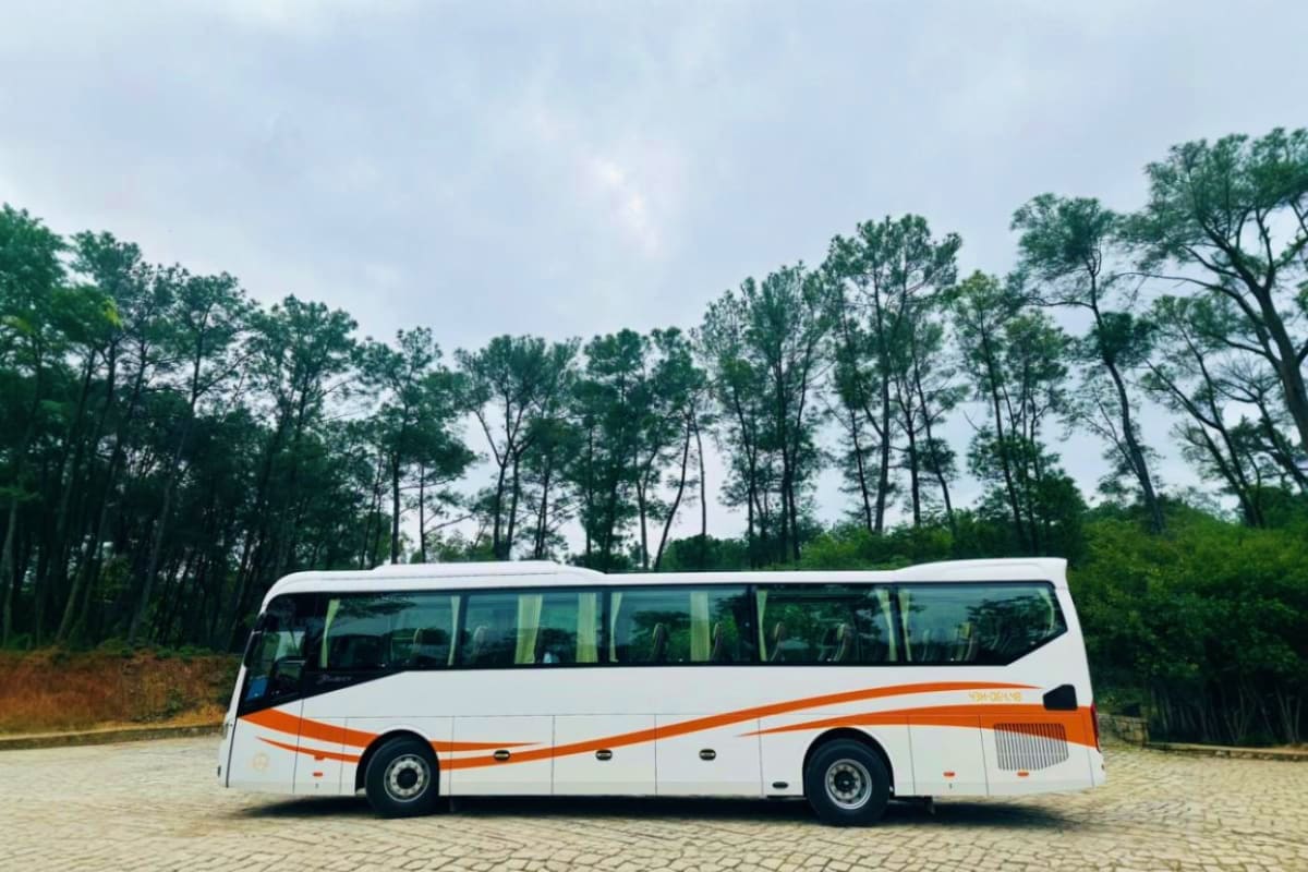 White and orange tour bus parked on paved ground with tall pine trees in background under cloudy sky
