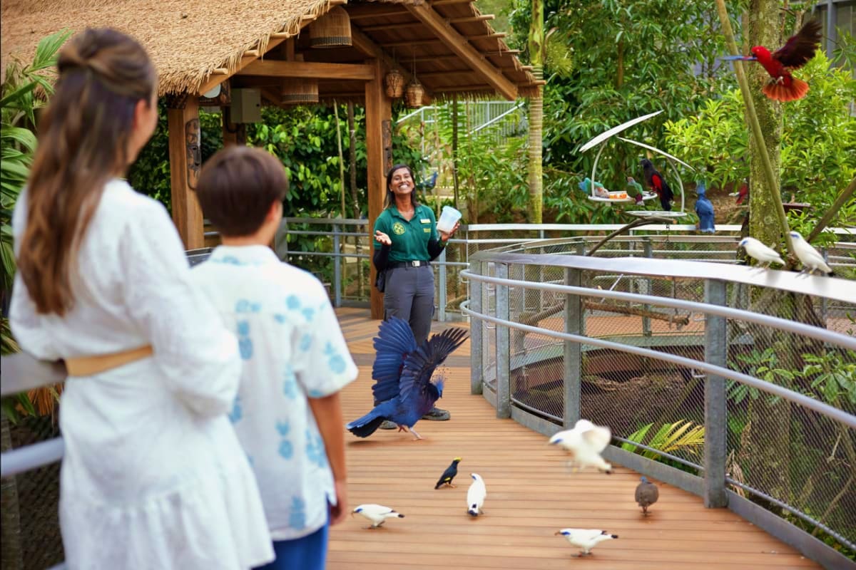 Bird Paradise Singapore Zoo staff member educating visitors about tropical birds on wooden boardwalk at Bird Paradise Singapore aviary attraction