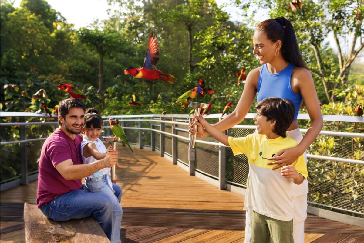 Family feeding colorful macaws on wooden deck at Bird Paradise Singapore wildlife park
