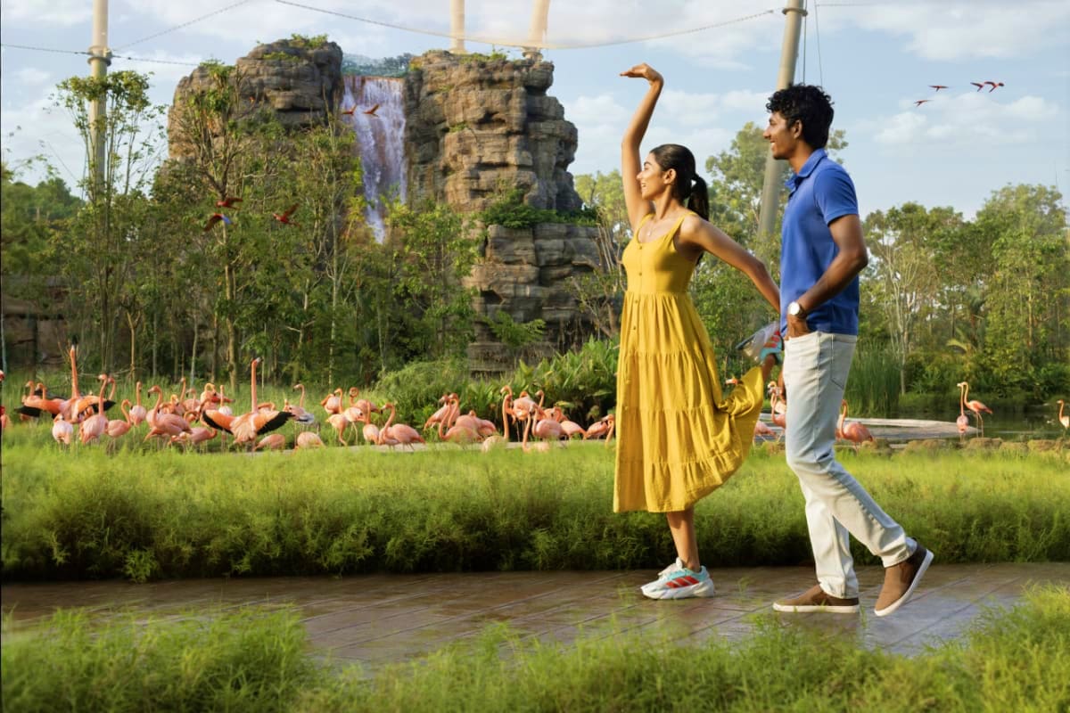 Couple watching flamingos at Bird Paradise Singapore with ancient stone monument and lush greenery in background