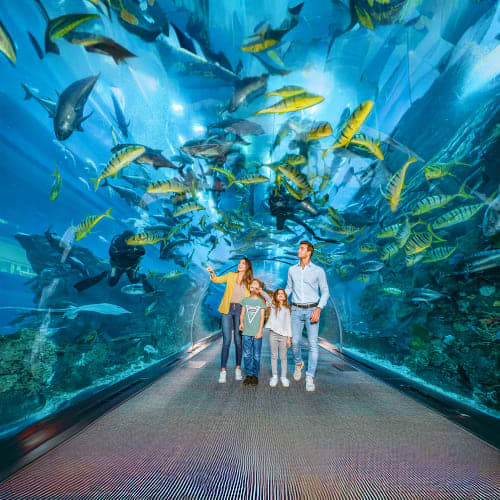 Family walking through underwater tunnel viewing fish and marine life in large aquarium tank with blue water