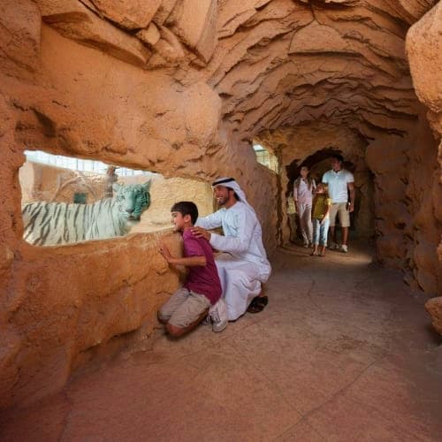 Visitors viewing a camel at Emirates Park Zoo through a carved stone window opening