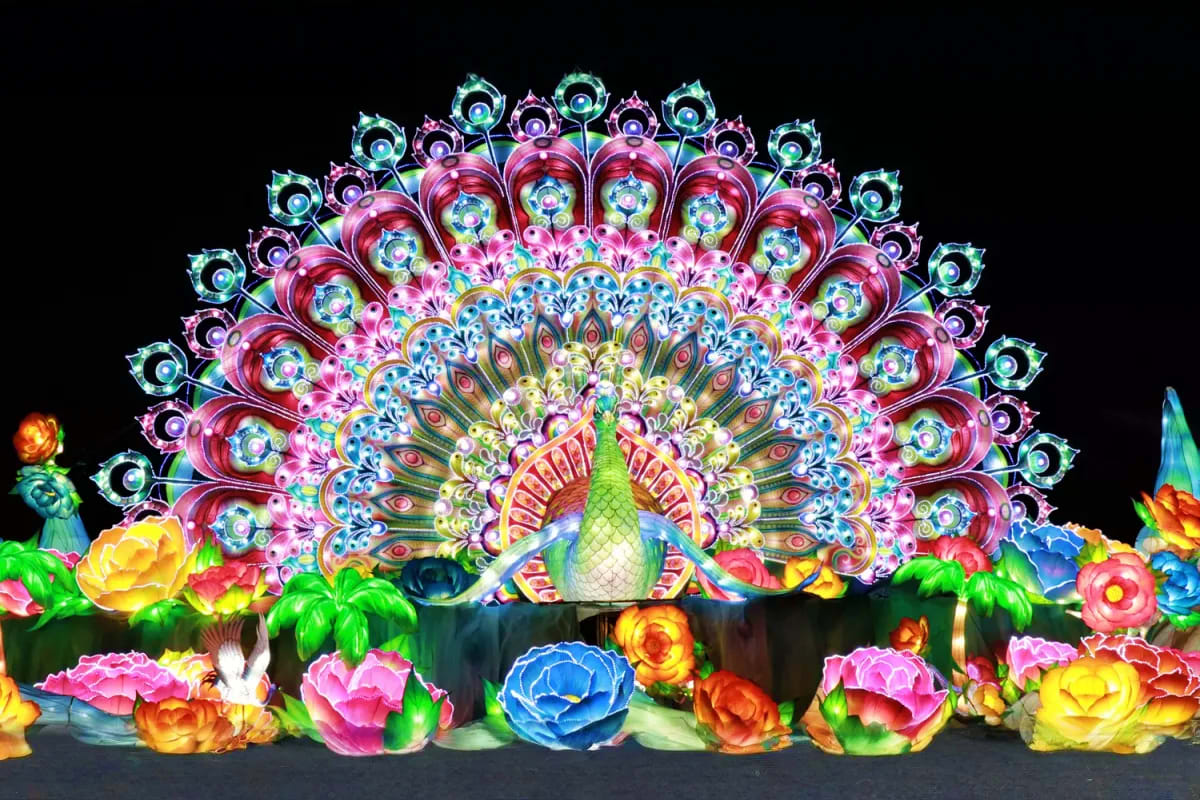 Illuminated peacock lantern display with glowing colorful flowers in pink, blue, yellow, and orange at night