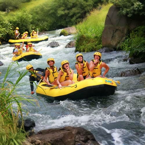 Group of people in yellow life jackets white water rafting on a fast-flowing river surrounded by lush green vegetation and ro