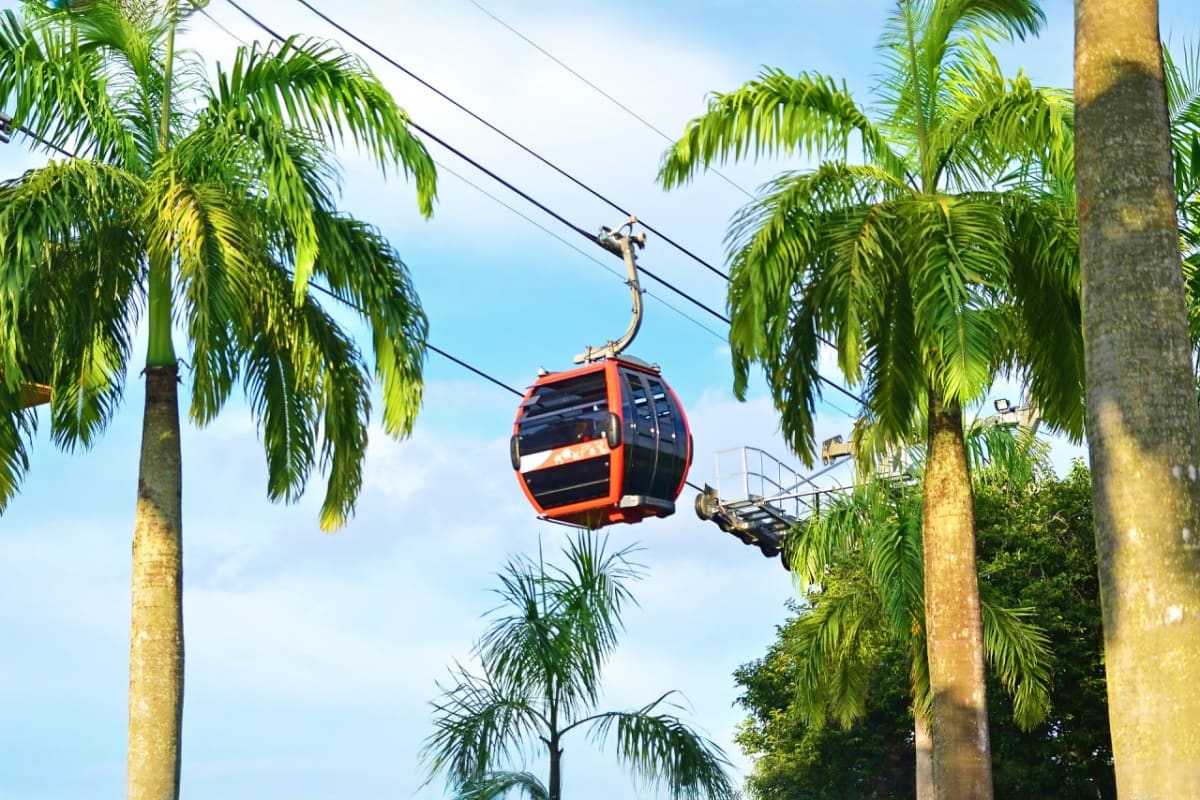 Red and black cable car suspended on cable above palm trees under blue sky at Sentosa