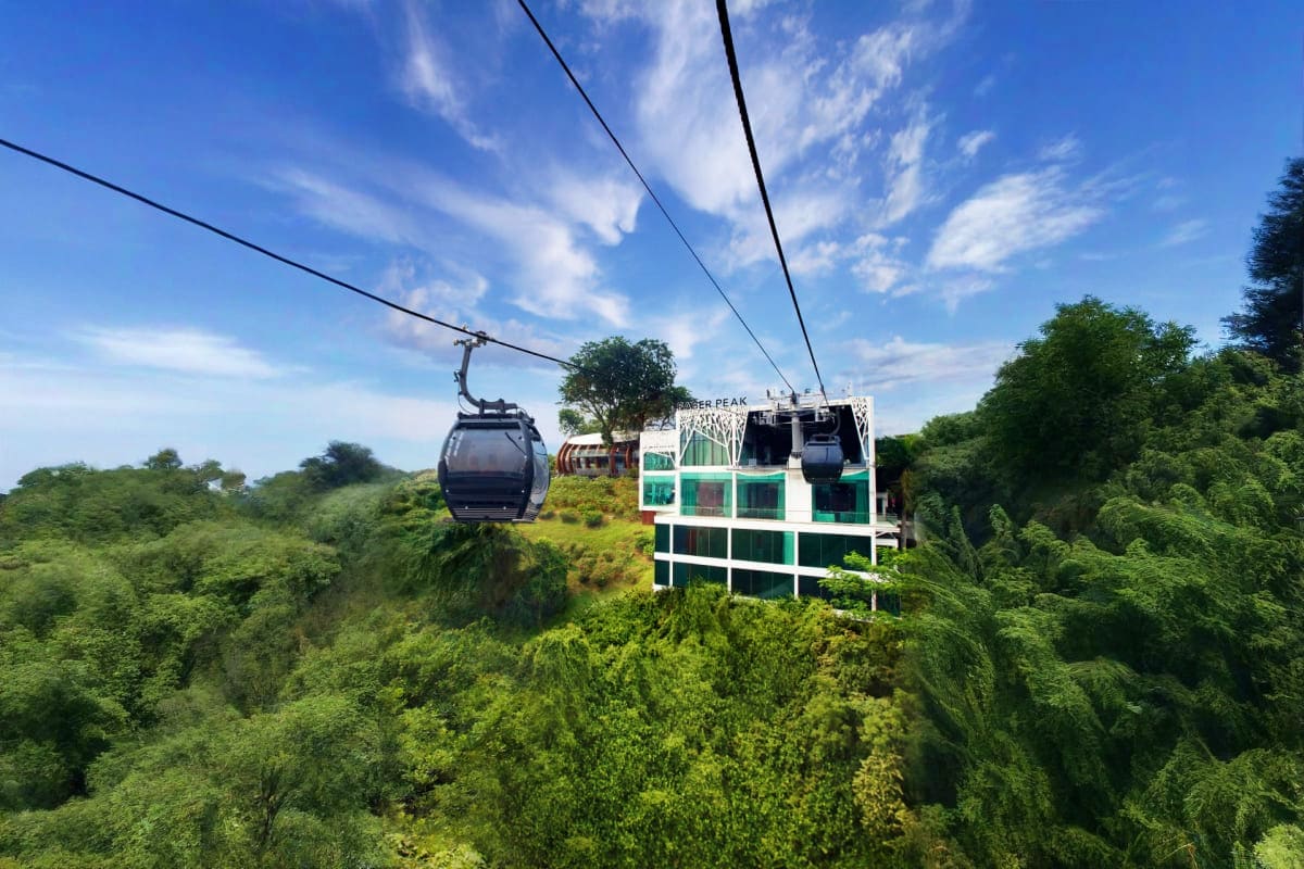 Sentosa Cable Car Ride Cable car cabins suspended over lush green forest with modern white building structure on hillside below, Sentosa Island attr