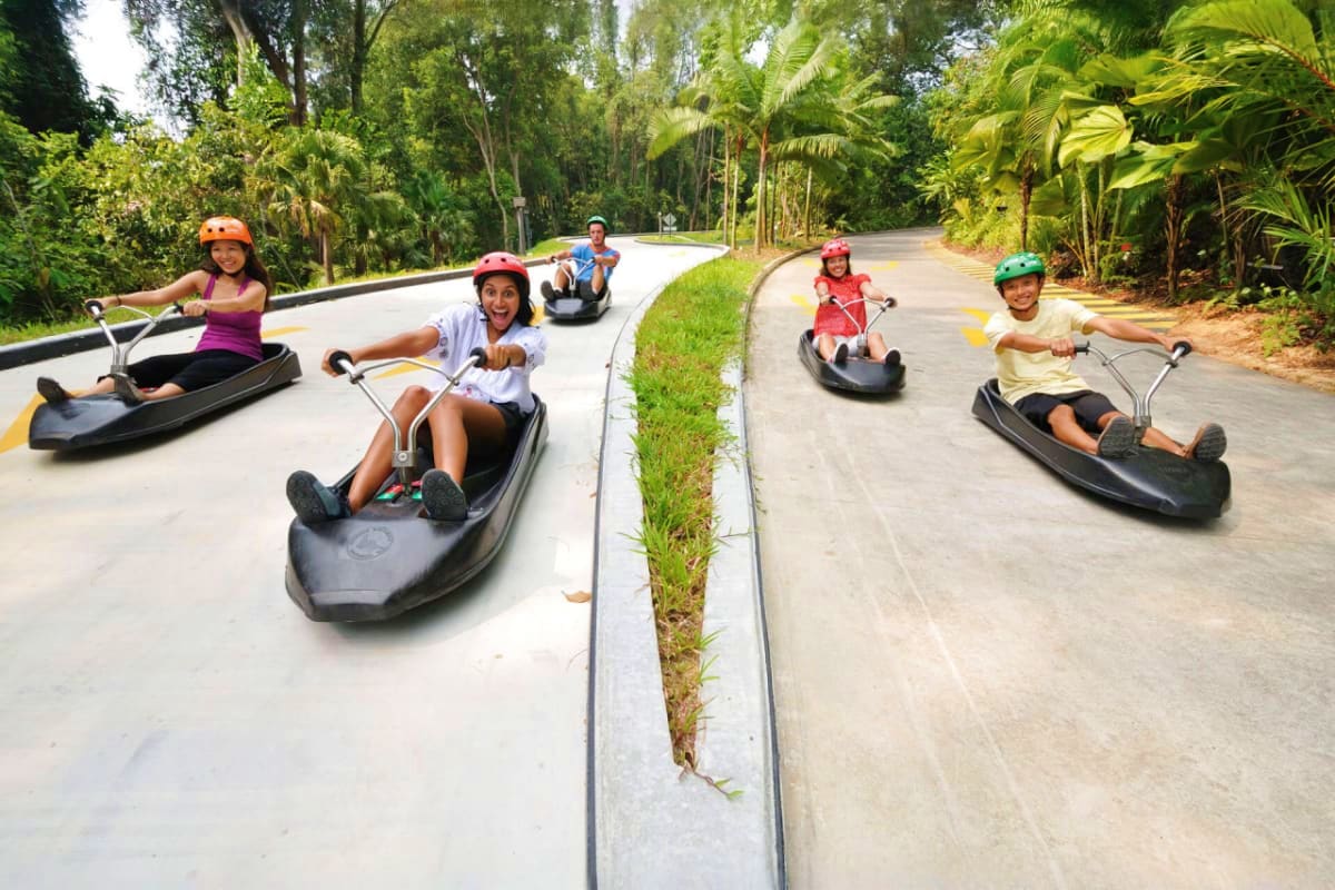 Skyline Luge Singapore Group of children riding bobsled luge cars down a winding concrete track through tropical forest at Skyline Luge Singapore