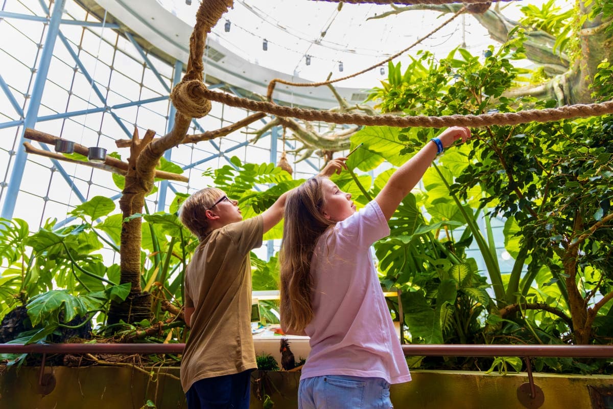 Two children pointing at a climbing rope in a lush tropical greenhouse surrounded by green plants and vines