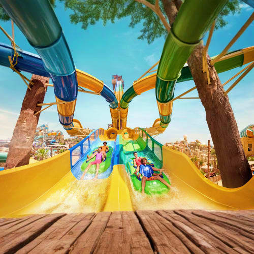 Multiple colorful water slides at Yas Waterworld theme park with palm trees and clear blue sky