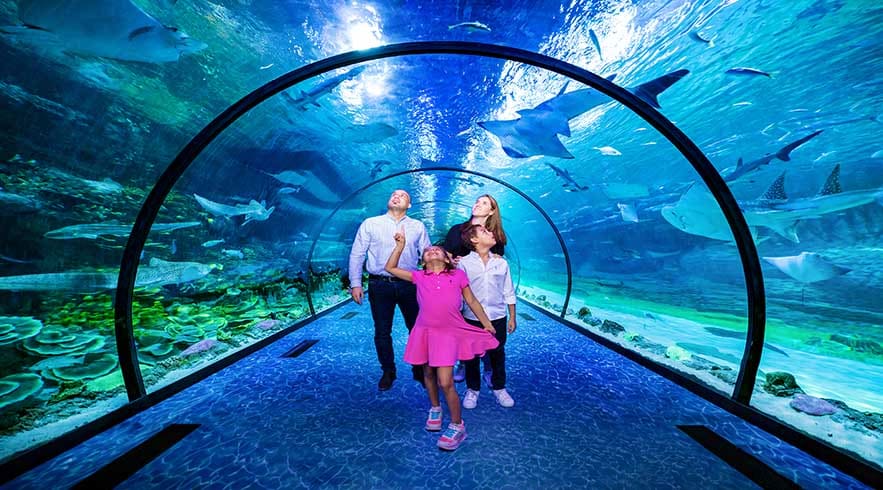 Family walking through underwater tunnel at National Aquarium Abu Dhabi with rays and fish swimming overhead