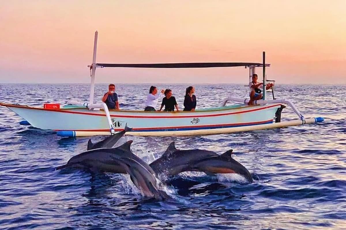 Dolphins swimming near a traditional fishing boat with tourists aboard at sunset in Bali waters