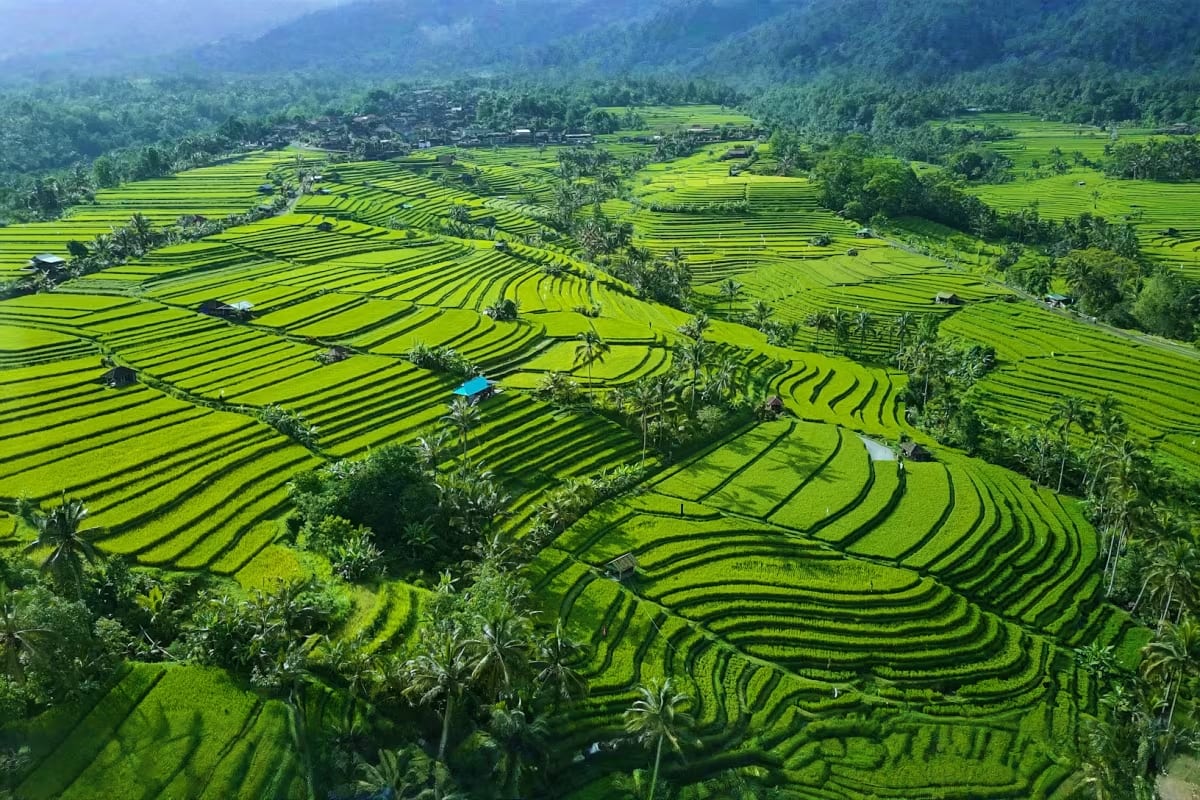 Jatiluwih UNESCO rice terraces