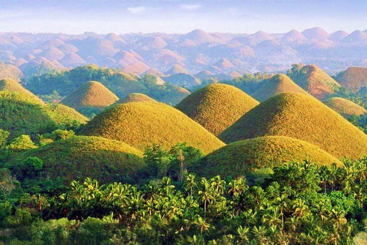 7 Days Manila Clark and Cebu Tour Package Chocolate Hills landscape in Bohol, Philippines with hundreds of cone-shaped brown hills covered in vegetation and tropical f