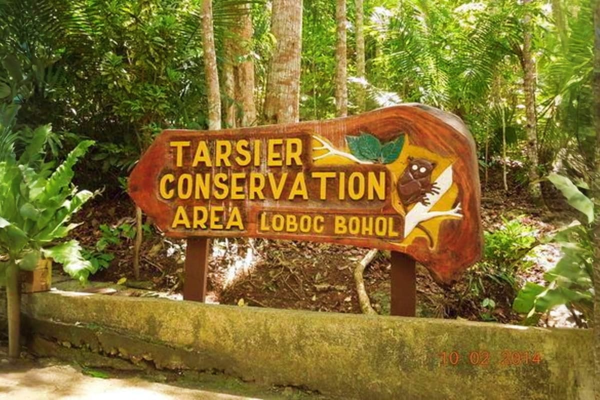 7 Days Manila Clark and Cebu Tour Package Tarsier Conservation Area Loboc Bohol wooden sign with illustrated tarsier in tropical forest setting