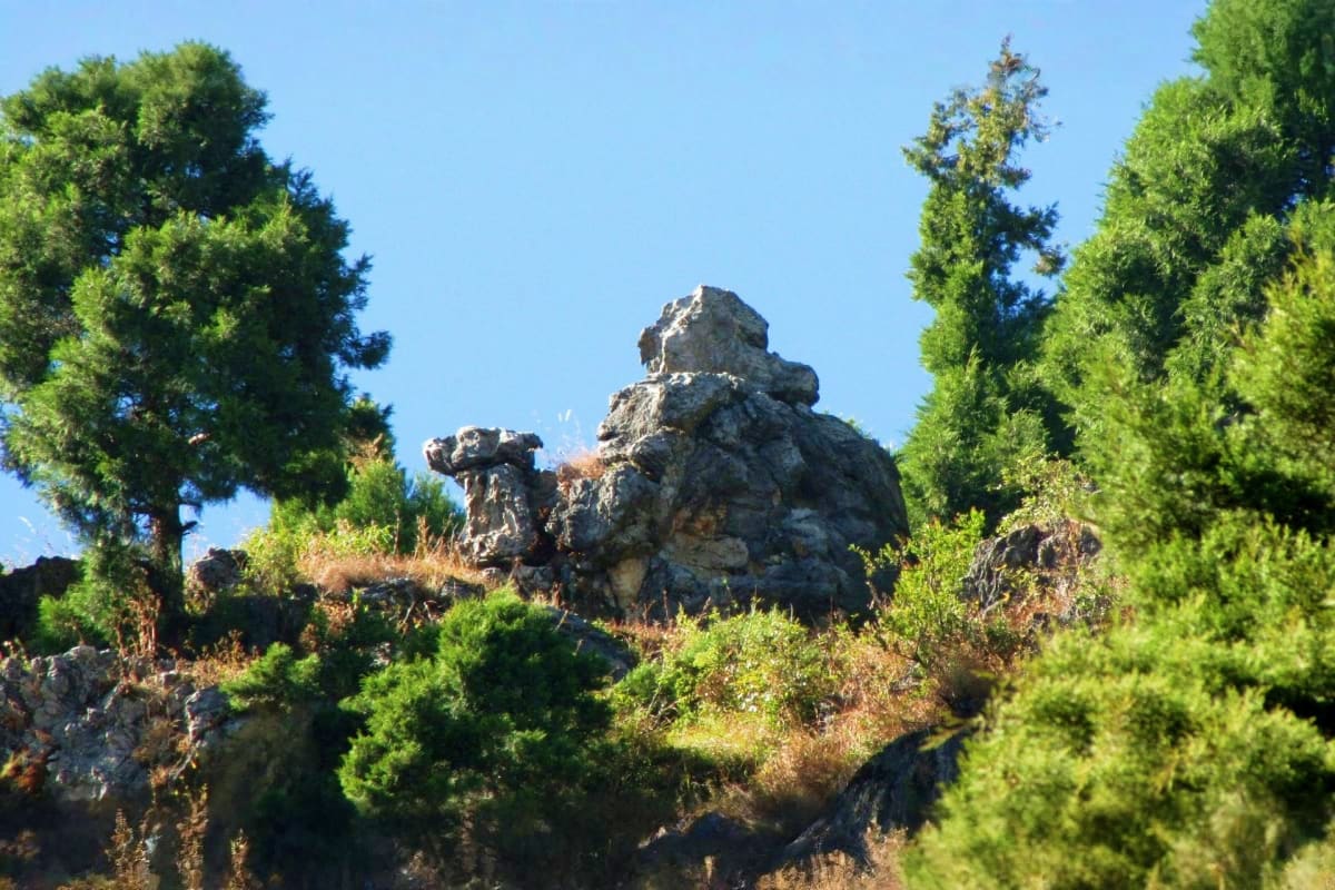 Delhi to Mussoorie Weekend Getaway Rocky mountain peak surrounded by green coniferous trees under clear blue sky in Mussoorie hills