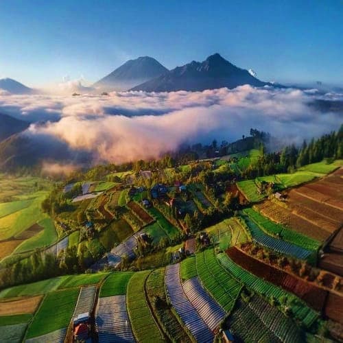 Aerial view of terraced farmland with misty mountains and green valleys at sunrise in a tropical agricultural region