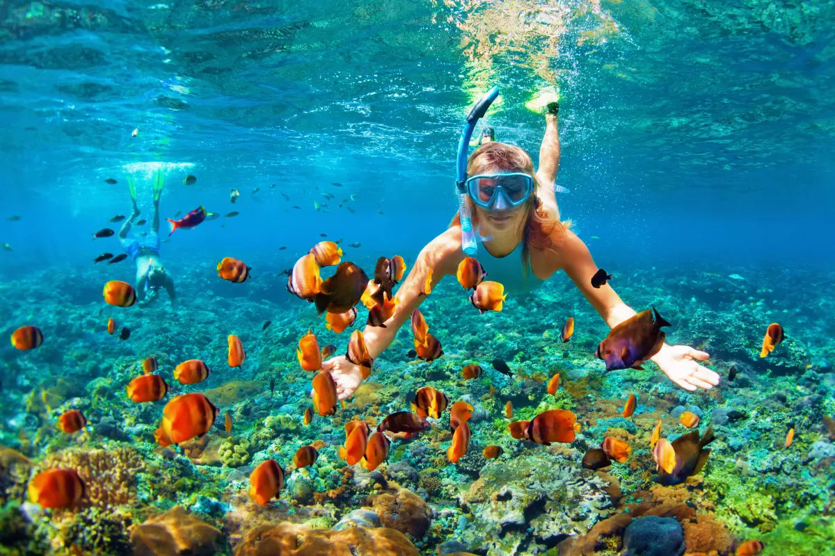 Koh Samui Escape with Phuket and Krabi Woman snorkeling underwater surrounded by orange and black striped tropical fish and coral reef in clear blue ocean water